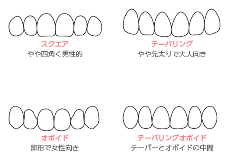 歯の形態