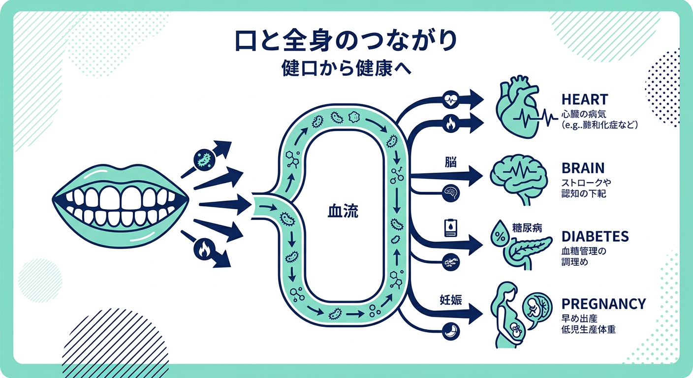 歯→血流→心臓・脳・糖尿病・妊娠をシンプルな矢印でつないだ図解。